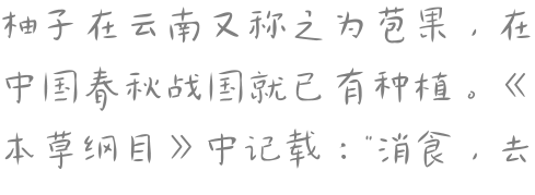 柚子在云南又称之为苞果，在中国春秋战国就已有种植。《本草纲目》中记载：“消食，去