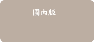 国内版